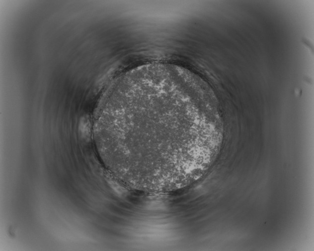 X0000100870720200807111318