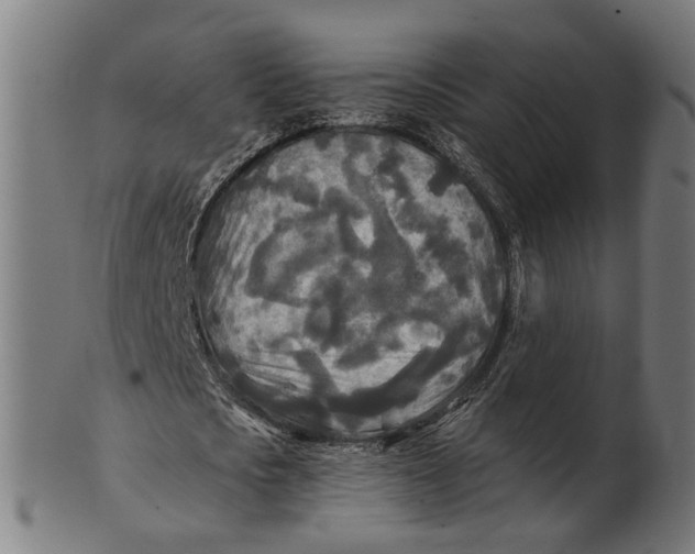 X0000100870721200807111317