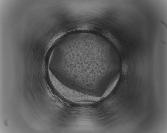 X0000100870724200807111317