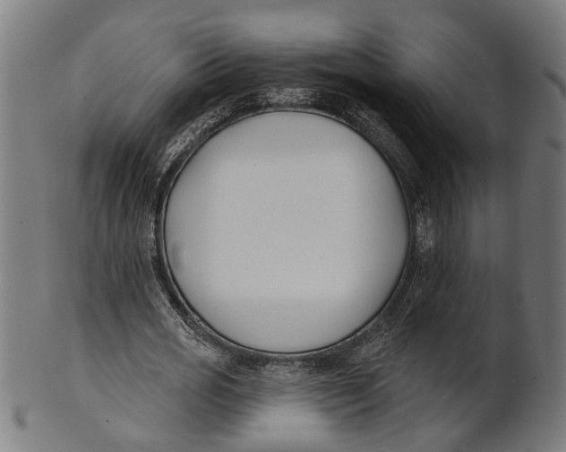 X0000100870725200807111317