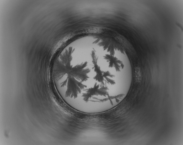 X0000100870726200807111317