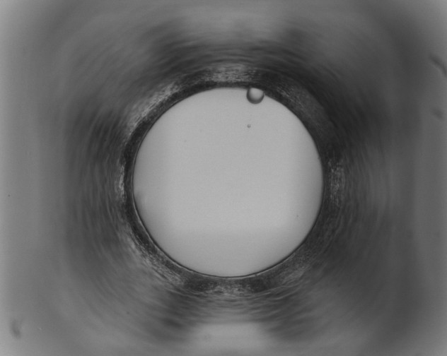 X0000100870727200807111317