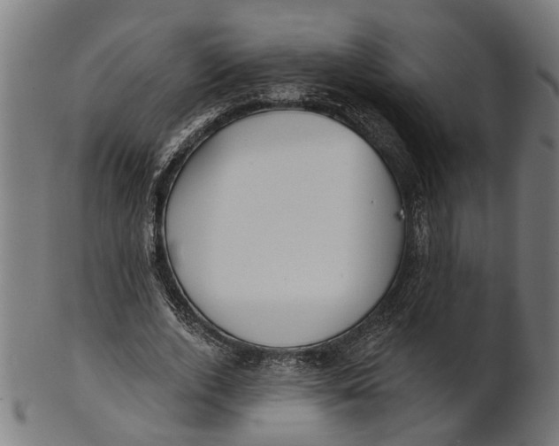 X0000100870728200807111317