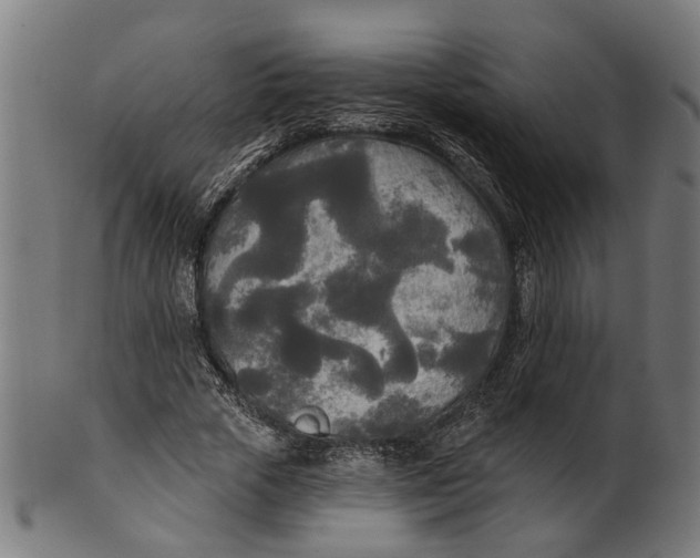 X0000100870729200807111317