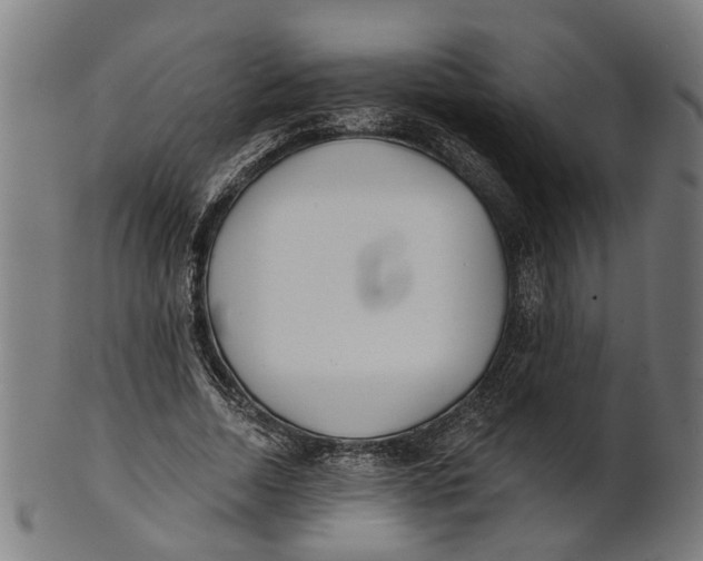 X0000100870730200807111317