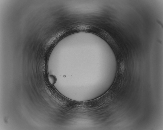 X0000100870732200807111317