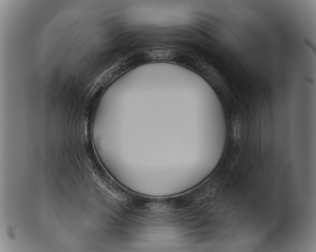 X0000100870733200807111317