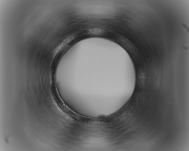 X0000100870734200807111317