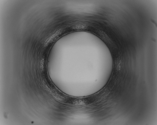 X0000100870735200807111317