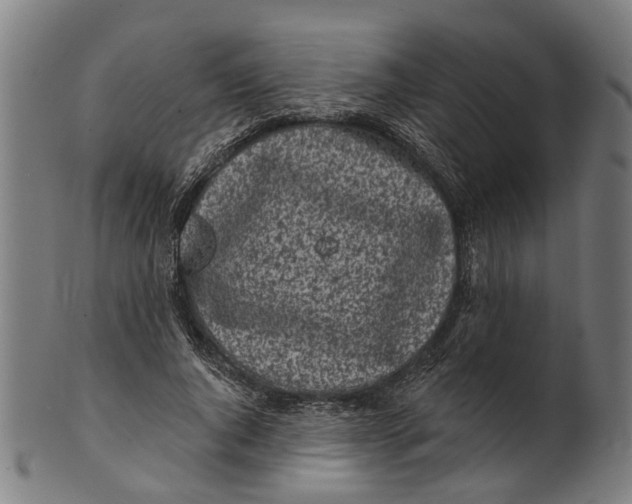 X0000100870736200807111317