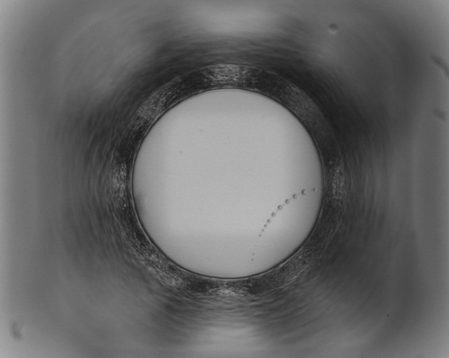 X0000100870737200807111317