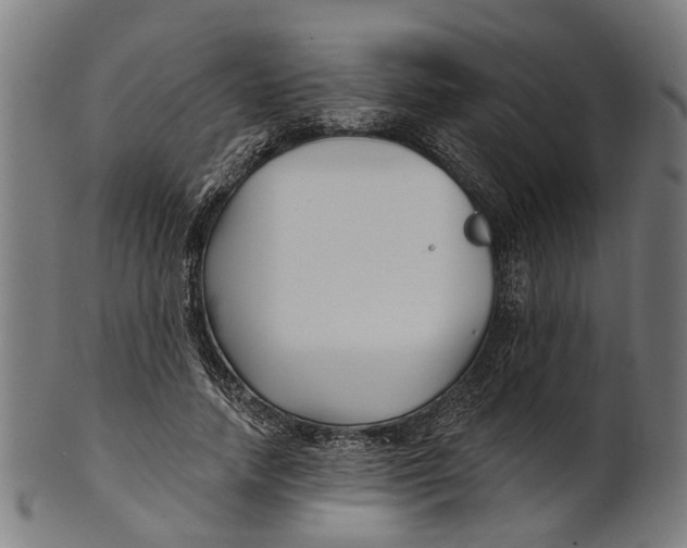 X0000100870738200807111317