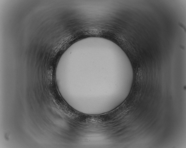 X0000100870739200807111317