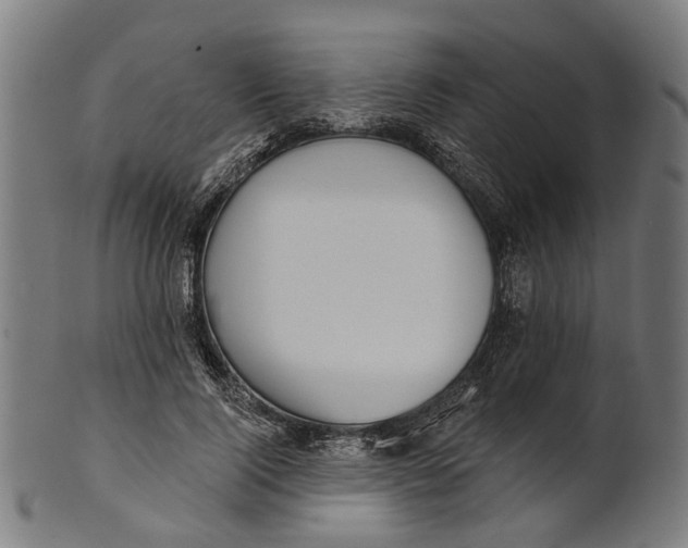 X0000100870740200807111317