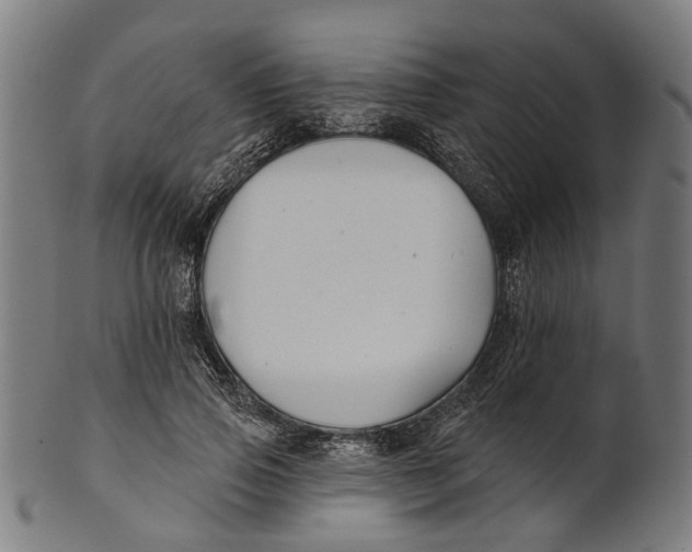 X0000100870741200807111317