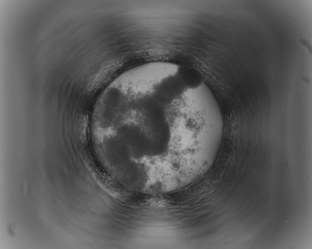 X0000100870742200807111317