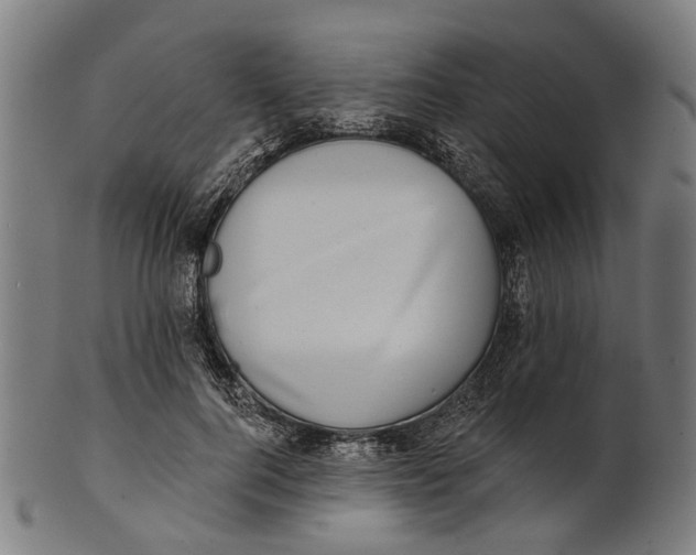 X0000100870744200807111317