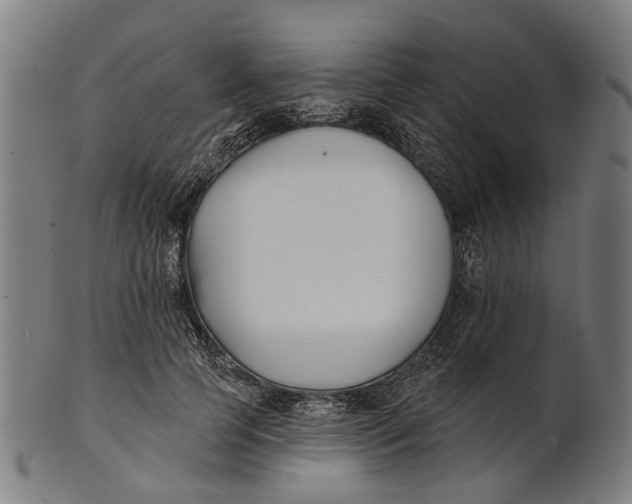 X0000100870745200807111317