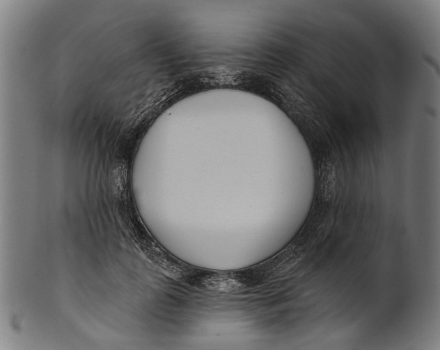 X0000100870747200807111317