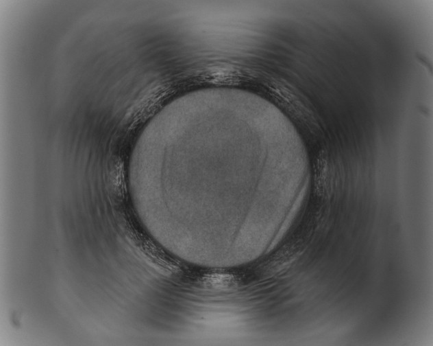 X0000100870748200807111317