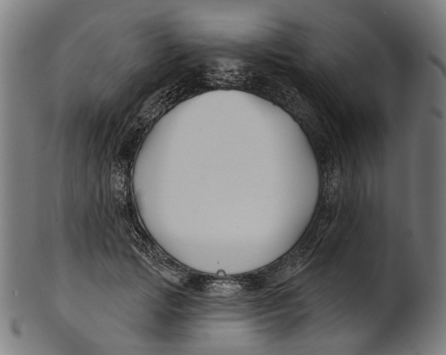 X0000100870749200807111317