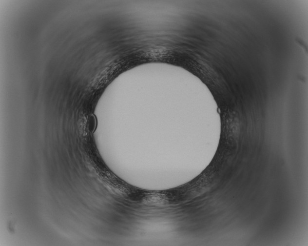 X0000100870750200807111317