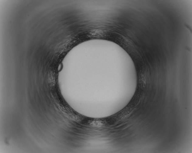 X0000100870751200807111317