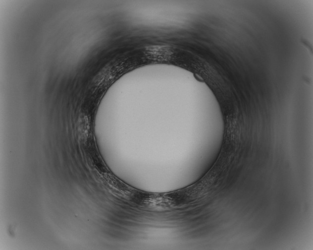 X0000100870752200807111317