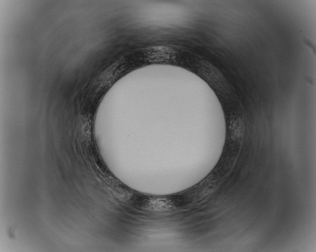 X0000100870753200807111317