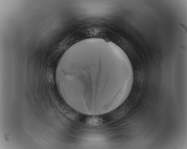 X0000100870754200807111317