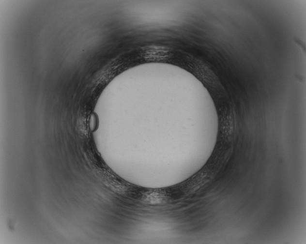 X0000100870755200807111317