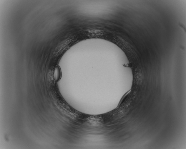 X0000100870756200807111318