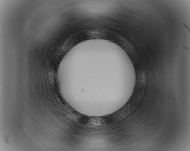 X0000100870757200807111318