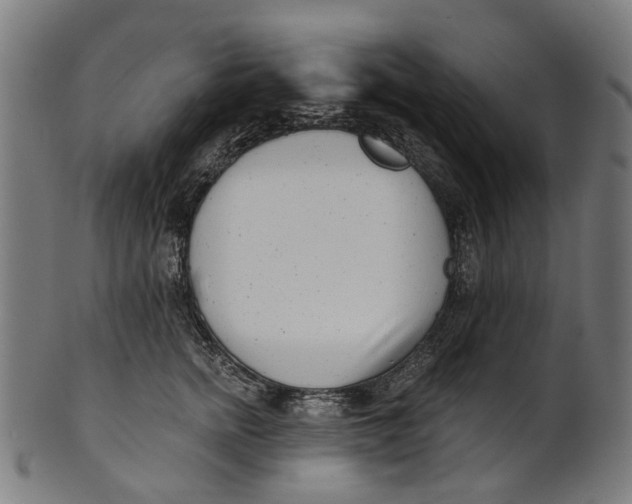 X0000100870758200807111318