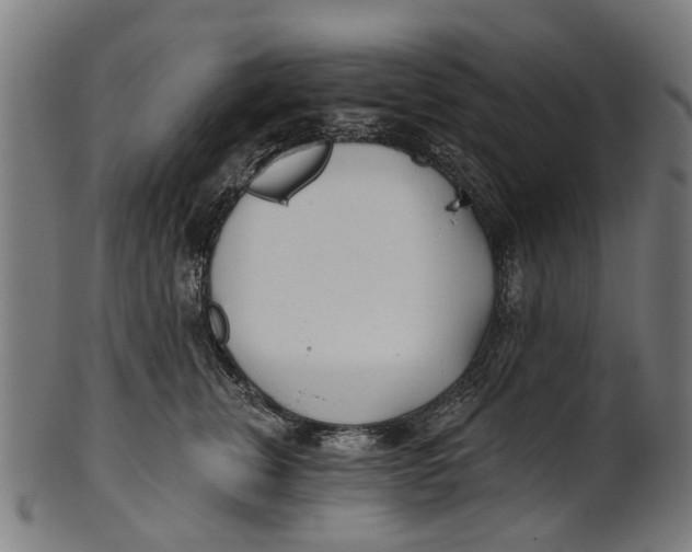 X0000100870759200807111318