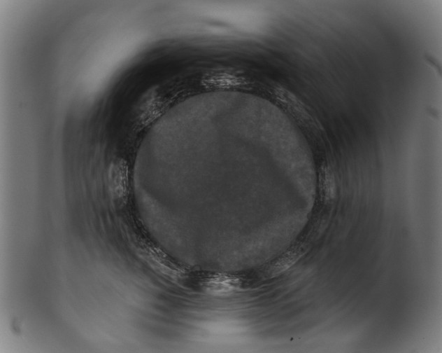 X0000100870760200807111318