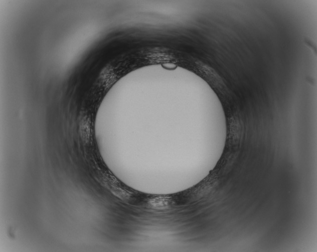 X0000100870761200807111318