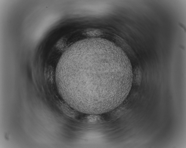 X0000100870762200807111318