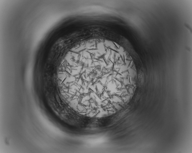 X0000100870765200807111318