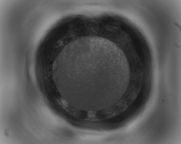 X0000100870766200807111318