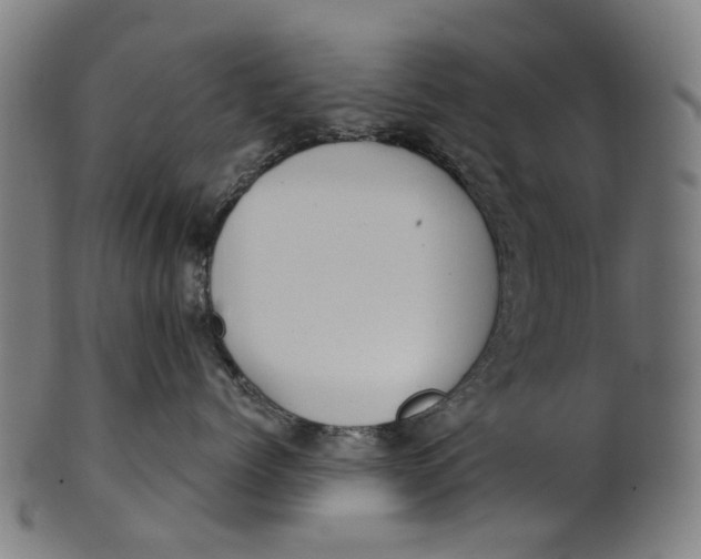 X0000100870768200807111318