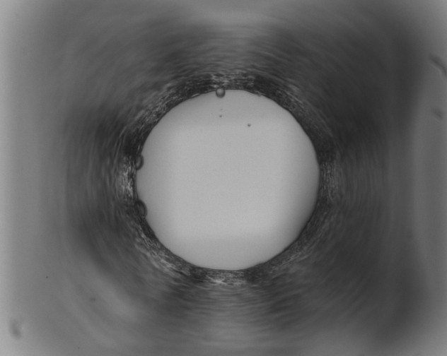 X0000100870770200807111317