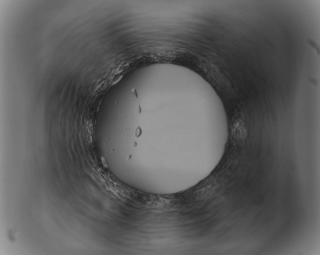 X0000100870772200807111317