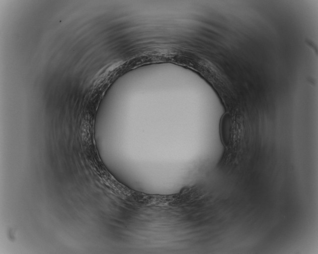 X0000100870773200807111317