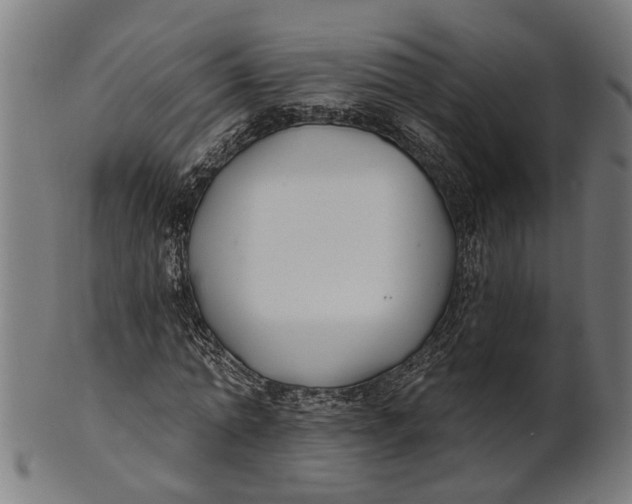 X0000100870774200807111317