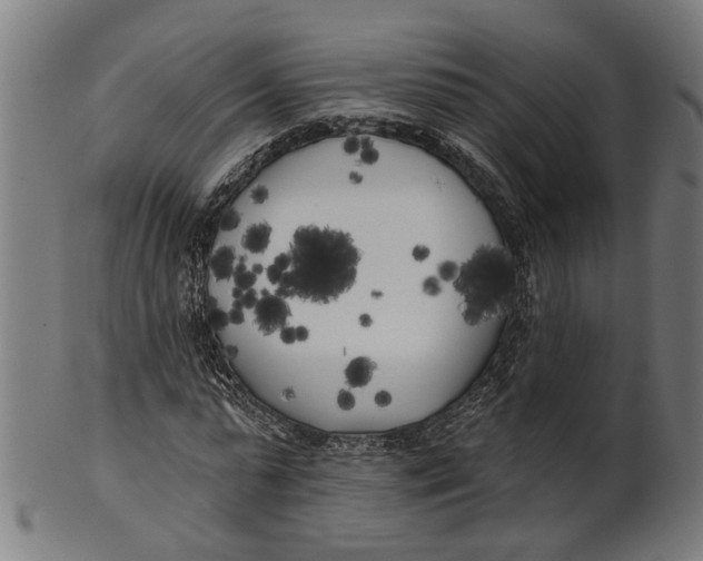 X0000100870775200807111317