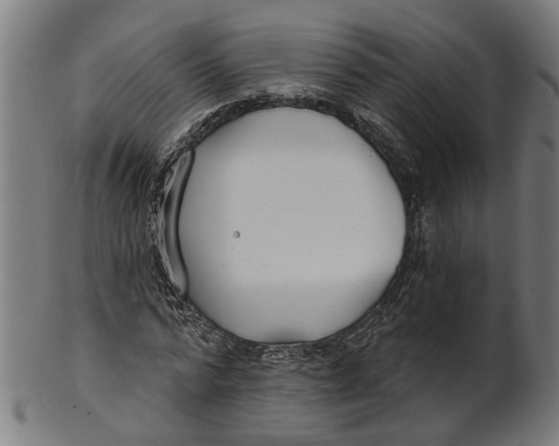 X0000100870776200807111317