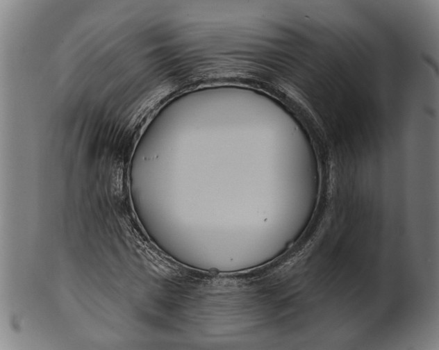 X0000100870777200807111317