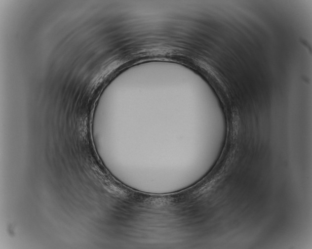 X0000100870778200807111317