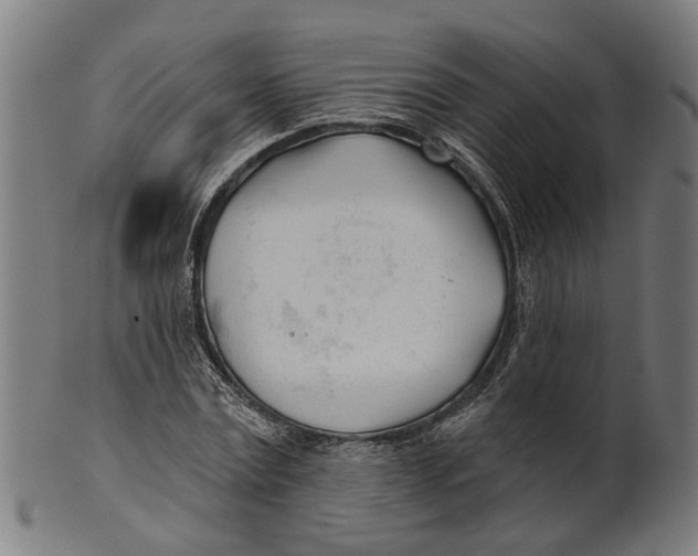 X0000100870779200807111317